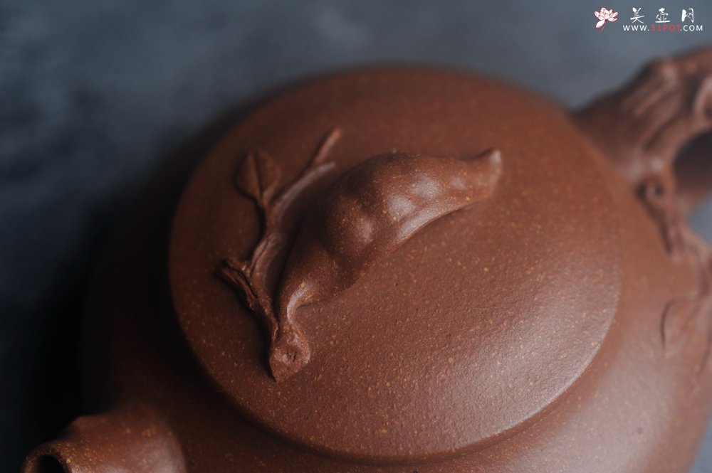 紫砂壶图片：美壶特惠 特好降坡泥扁豆壶 肌理丰富生动 - 宜兴紫砂壶网