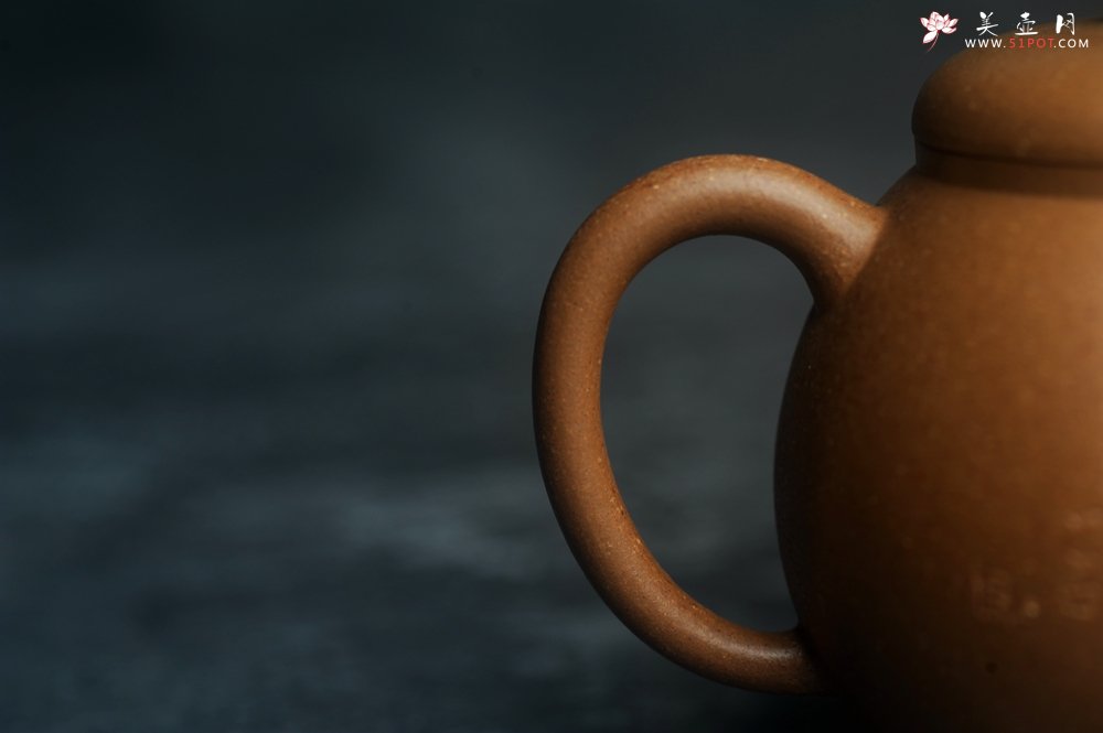 紫砂壶图片：美壶特惠 精致特好黄降坡泥高宫灯壶 装饰特文气 - 宜兴紫砂壶网