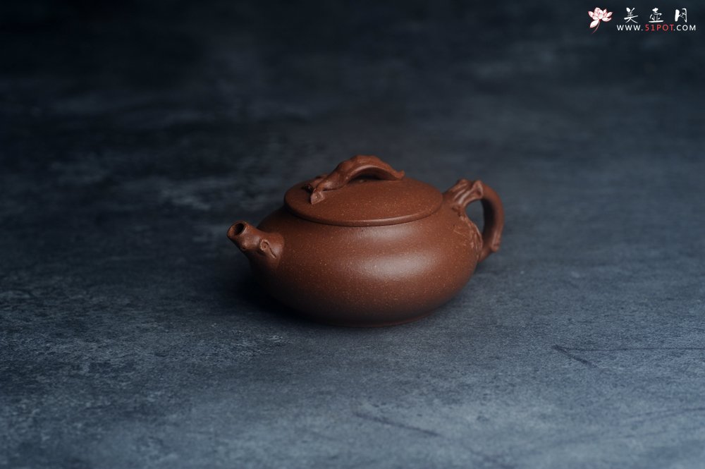紫砂壶图片：美壶特惠 特好降坡泥扁豆壶 肌理丰富生动 - 宜兴紫砂壶网