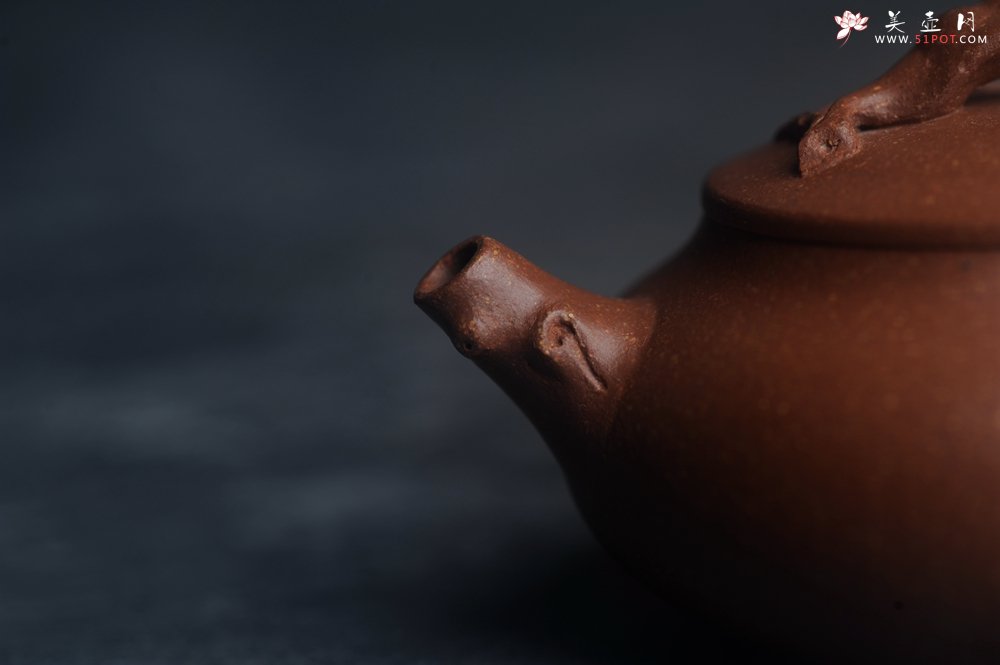 紫砂壶图片：美壶特惠 特好降坡泥扁豆壶 肌理丰富生动 - 宜兴紫砂壶网