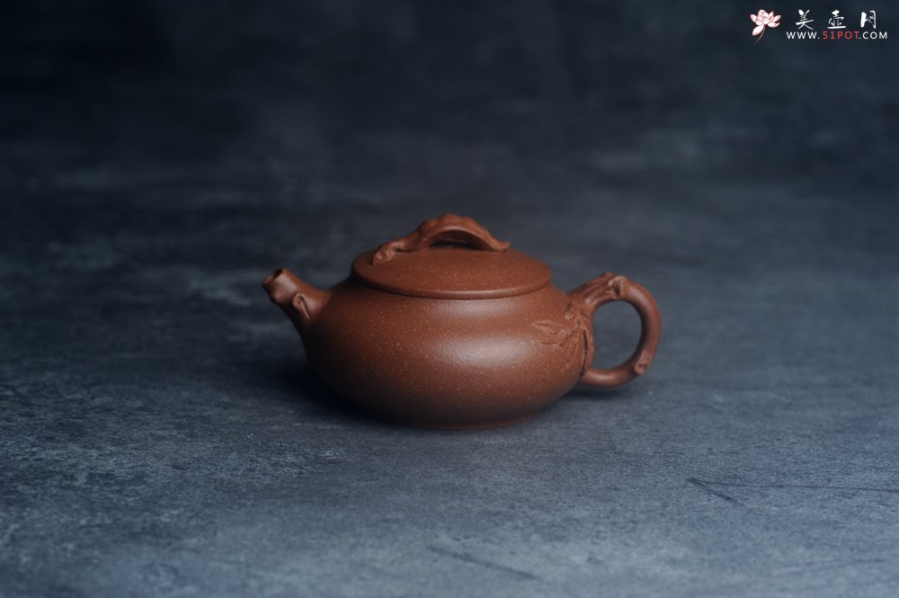 紫砂壶图片：美壶特惠 特好降坡泥扁豆壶 肌理丰富生动 - 宜兴紫砂壶网