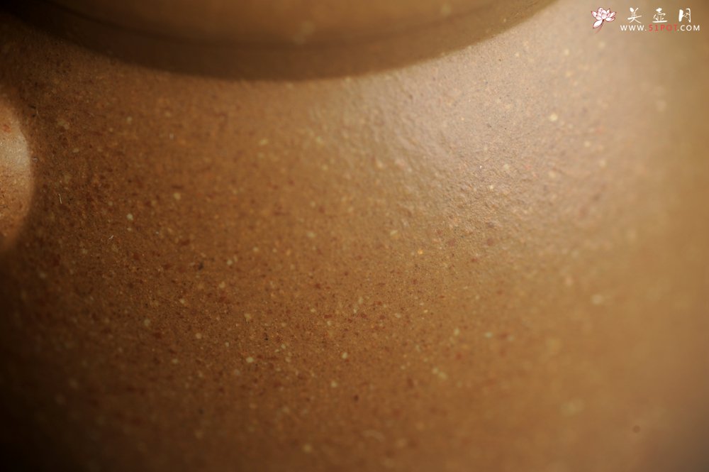 紫砂壶图片：美壶特惠 精致特好黄降坡泥高宫灯壶 装饰特文气 - 宜兴紫砂壶网