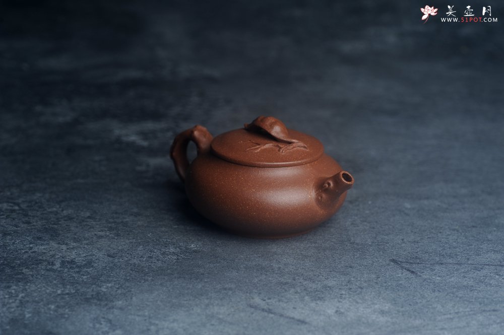 紫砂壶图片：美壶特惠 特好降坡泥扁豆壶 肌理丰富生动 - 宜兴紫砂壶网