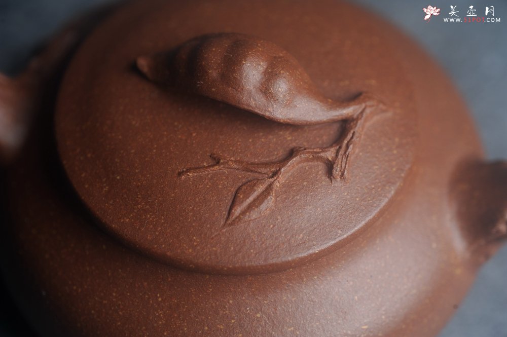 紫砂壶图片：美壶特惠 特好降坡泥扁豆壶 肌理丰富生动 - 宜兴紫砂壶网