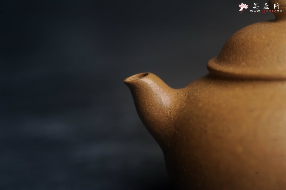 紫砂壶图片：美壶特惠 特好段泥容天壶 - 宜兴紫砂壶网