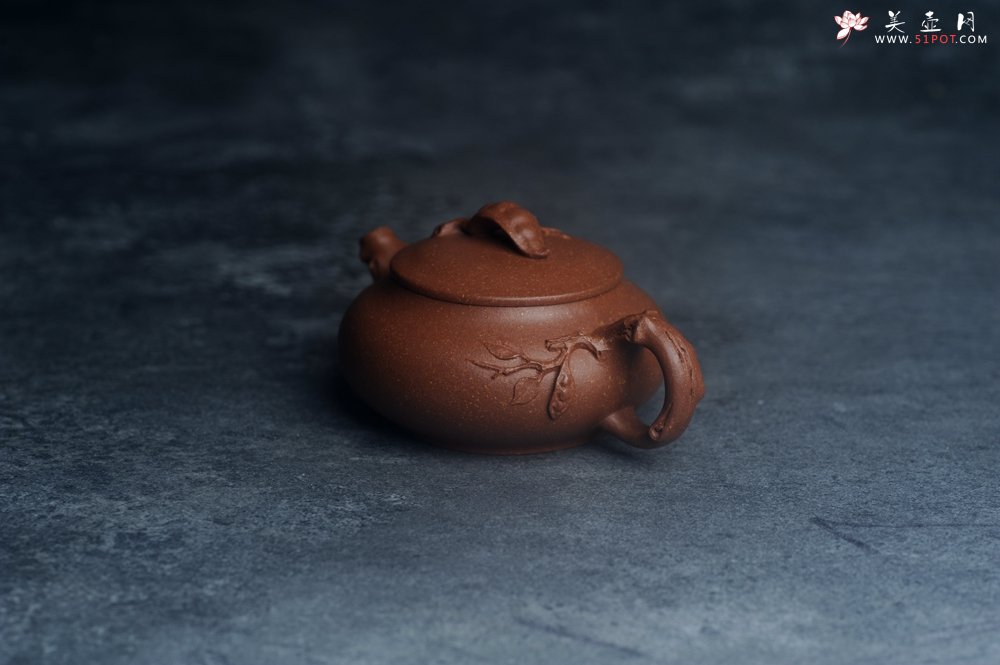 紫砂壶图片：美壶特惠 特好降坡泥扁豆壶 肌理丰富生动 - 宜兴紫砂壶网