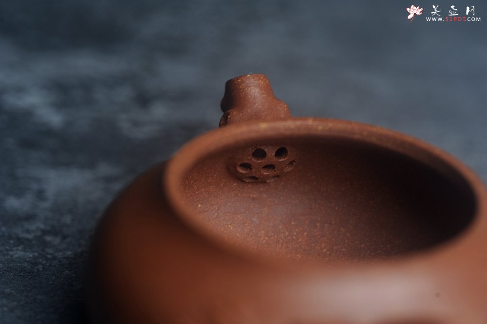 紫砂壶图片：美壶特惠 特好降坡泥扁豆壶 肌理丰富生动 - 宜兴紫砂壶网