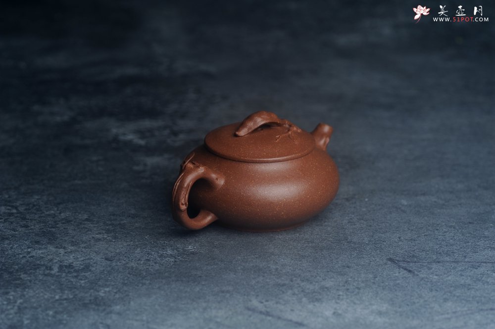 紫砂壶图片：美壶特惠 特好降坡泥扁豆壶 肌理丰富生动 - 宜兴紫砂壶网