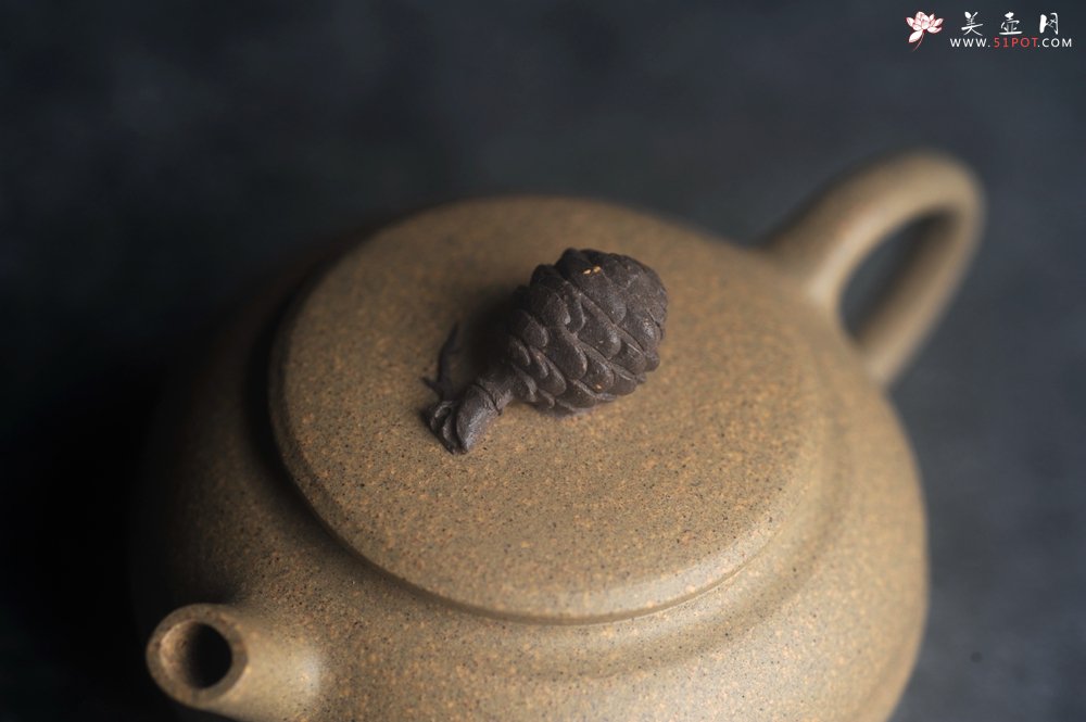 紫砂壶图片：美壶特惠 特好段泥精致松果壶 茶人醉爱 - 宜兴紫砂壶网