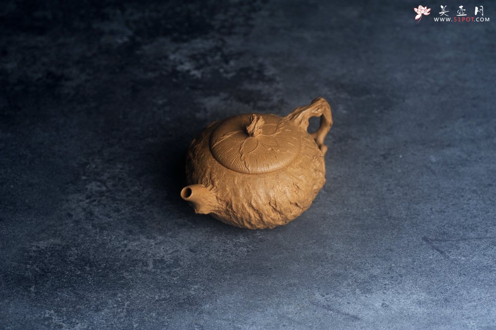 紫砂壶图片：美壶特惠精品特好全手工老段泥游龙供春紫砂壶 - 宜兴紫砂壶网