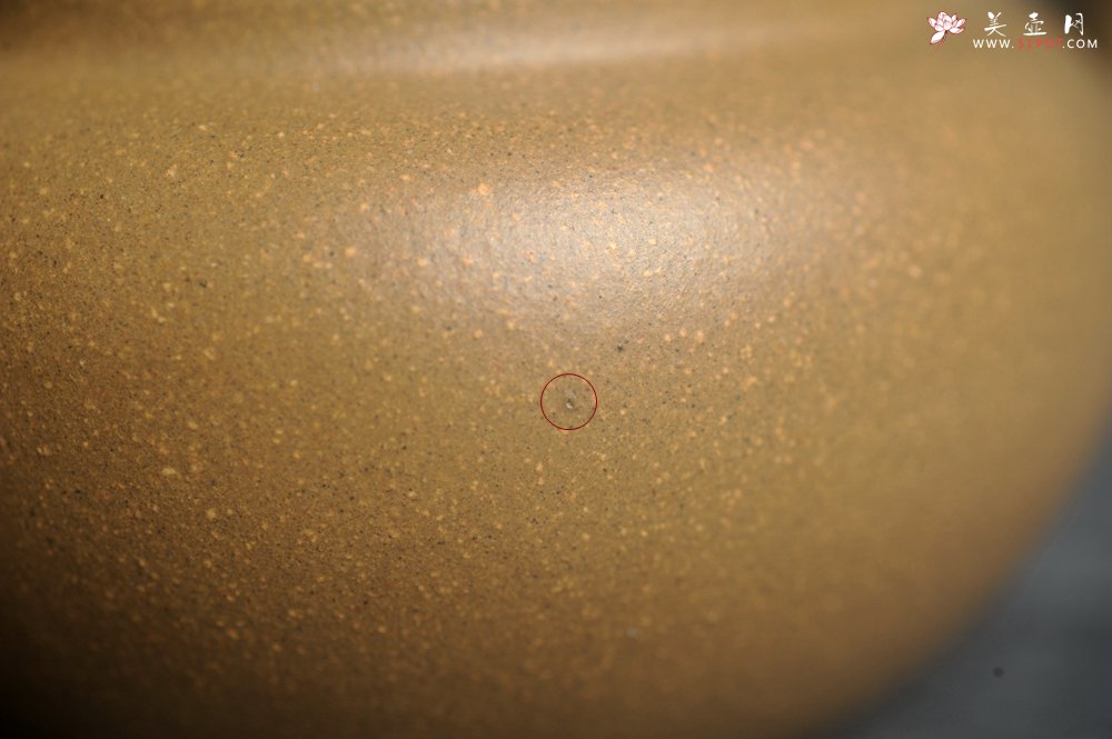 紫砂壶图片：美壶特惠 特好本山段泥涌泉壶 茶人醉爱 - 宜兴紫砂壶网