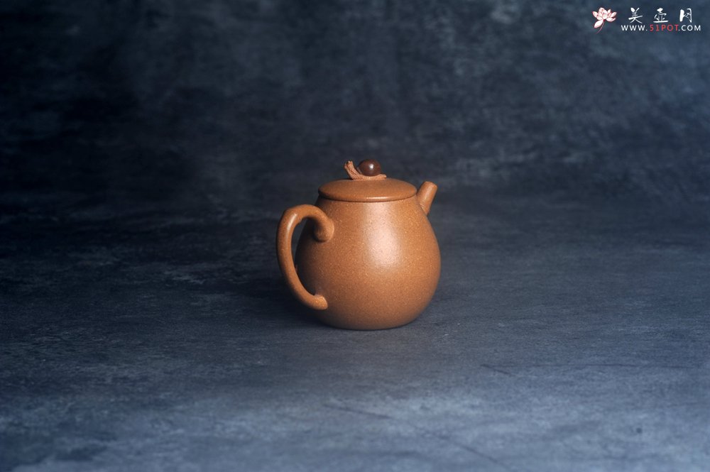 紫砂壶图片：美壶特惠 特好老段泥蜗牛居竹壶 茶人醉爱 - 宜兴紫砂壶网