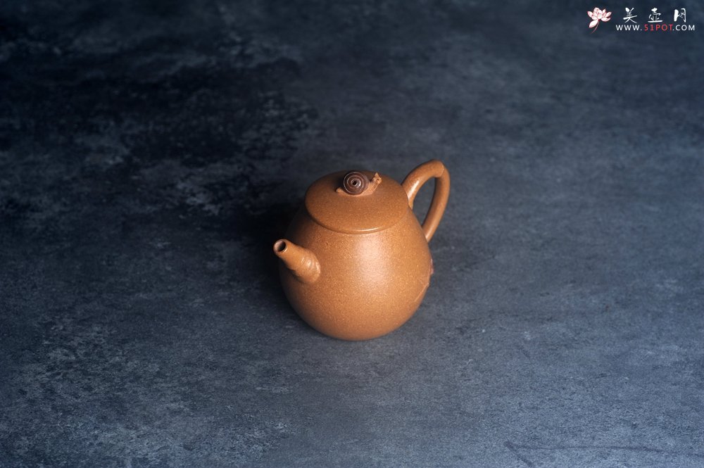 紫砂壶图片：美壶特惠 特好老段泥蜗牛居竹壶 茶人醉爱 - 宜兴紫砂壶网