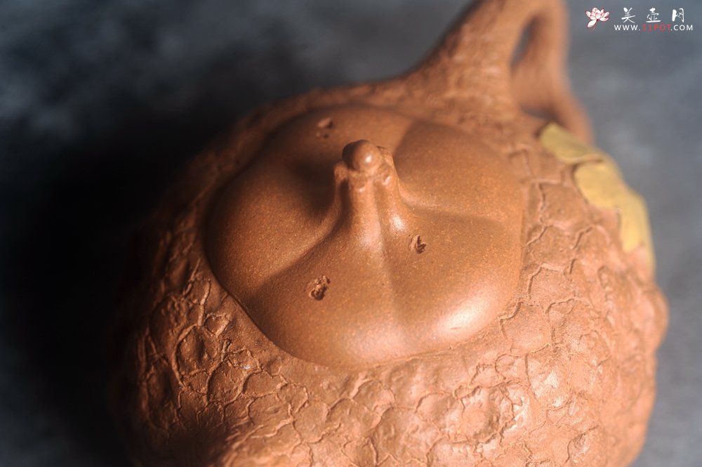 紫砂壶图片：美壶特惠 特好老段泥全手工银杏供春壶 茶人醉爱 - 宜兴紫砂壶网