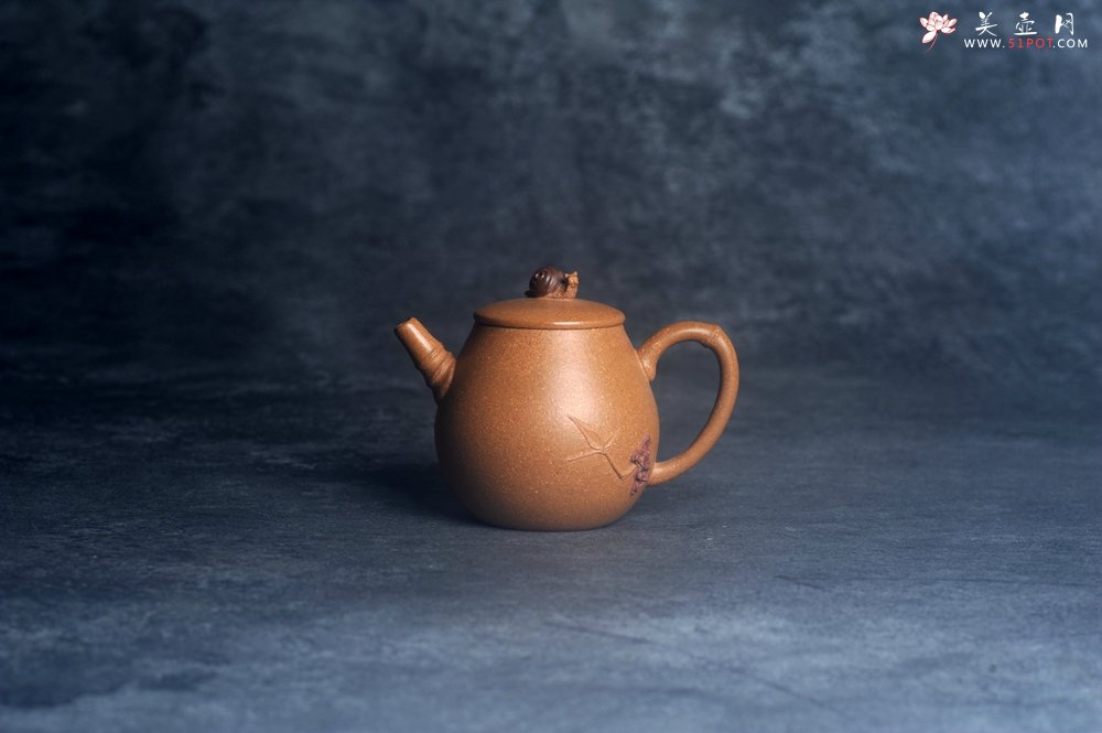 紫砂壶图片：美壶特惠 特好老段泥蜗牛居竹壶 茶人醉爱 - 宜兴紫砂壶网