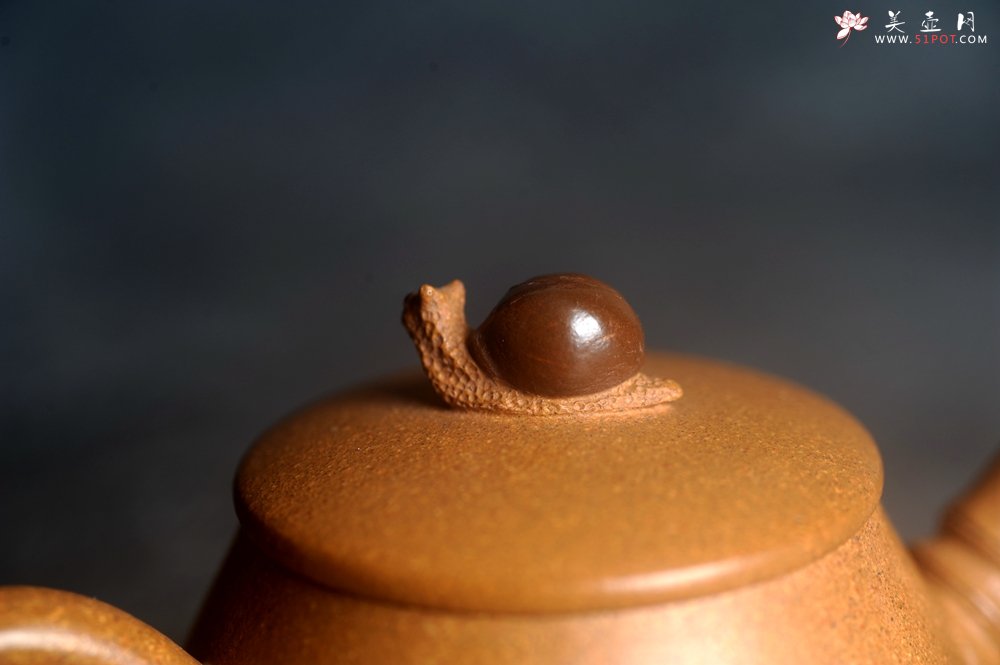 紫砂壶图片：美壶特惠 特好老段泥蜗牛居竹壶 茶人醉爱 - 宜兴紫砂壶网