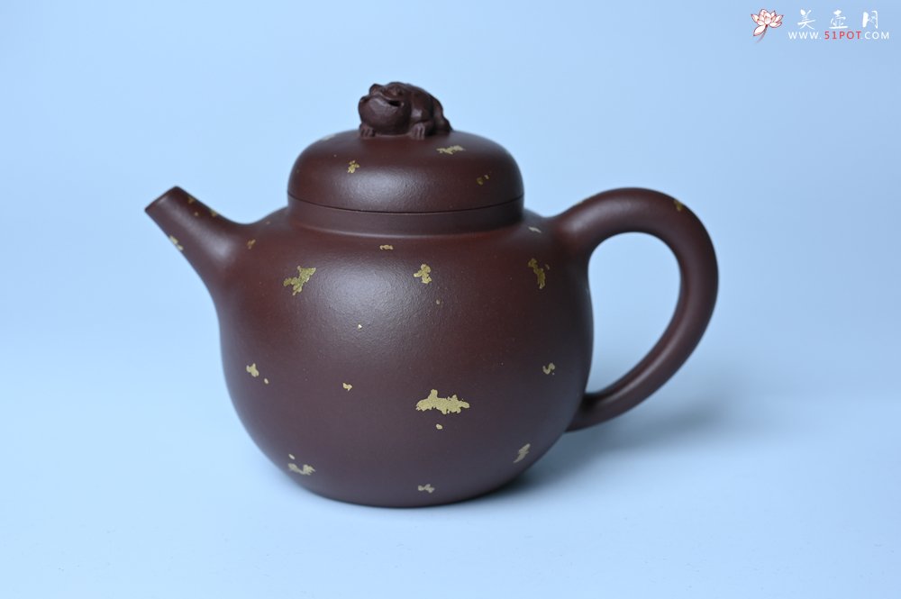 紫砂壶图片：潜力股周小培 全手工原创招财壶200cc 金蟾屹立于壶盖 撒金工艺铺满壶身 寓意黄金落满地 招财进宝 - 宜兴紫砂壶网