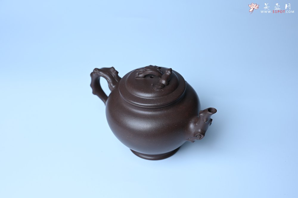 紫砂壶图片：潜力股赵老师 老紫泥全手工松鼠葡萄壶 茶人醉爱 - 宜兴紫砂壶网