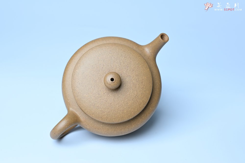 紫砂壶图片：美壶特惠全手工紫砂壶特好段泥桑扁壶 茶壶 茶具 单壶 - 宜兴紫砂壶网