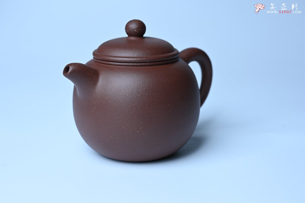 紫砂壶图片：毛国强入室弟子黄云初 特好老紫泥匏尊壶 名家何水法书法“坐忘” 刘世涛伯陶刻 - 宜兴紫砂壶网