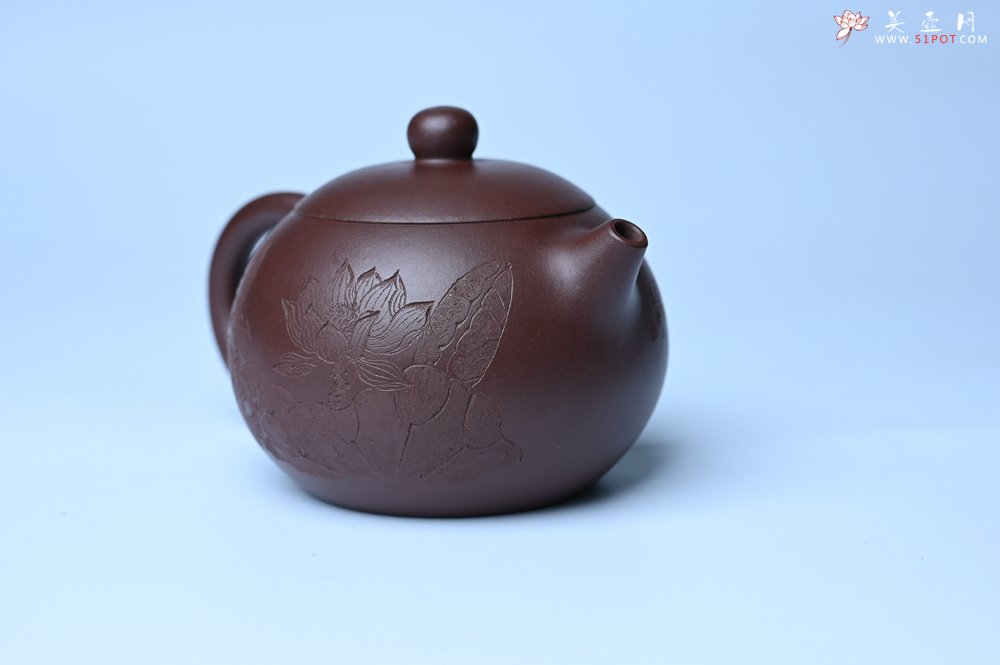 紫砂壶图片：油润底曹青 全手工西施茶壶 玉洁冰清 接天莲叶无穷碧 映日荷花别样红 - 宜兴紫砂壶网