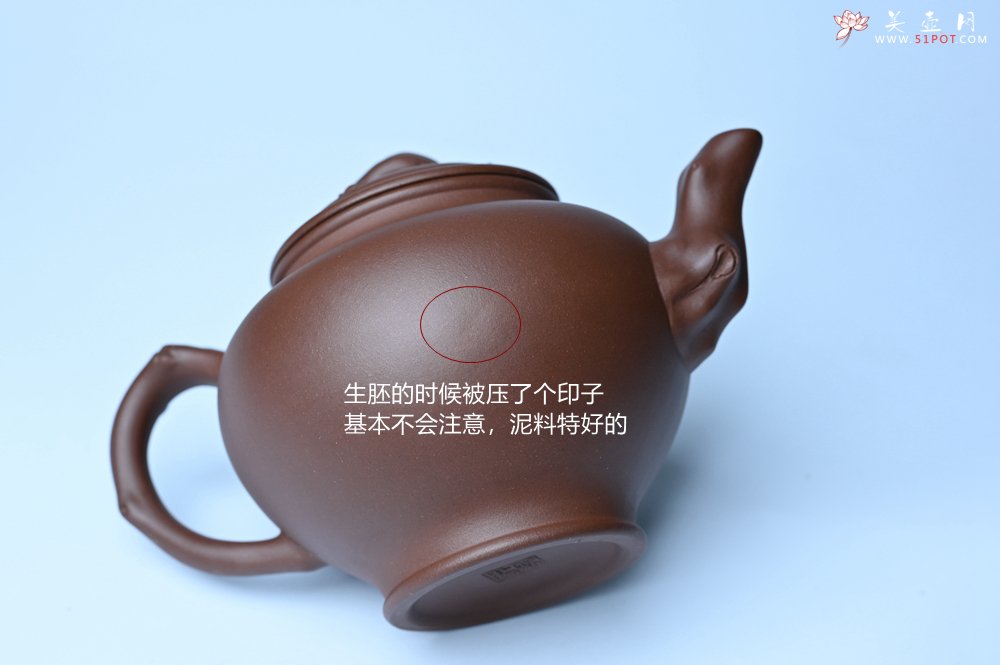 紫砂壶图片：美壶特惠 精致报春系列之梅花报春壶 - 宜兴紫砂壶网