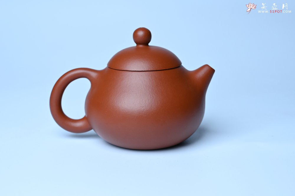 紫砂壶图片：美壶特惠定制最新实用力作 优质精致朱泥文旦壶 养后特润 - 宜兴紫砂壶网