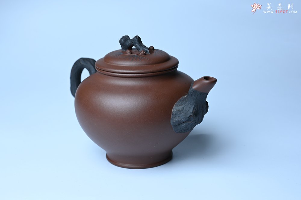 紫砂壶图片：美壶特惠 精致报春系列之松报春壶 - 宜兴紫砂壶网