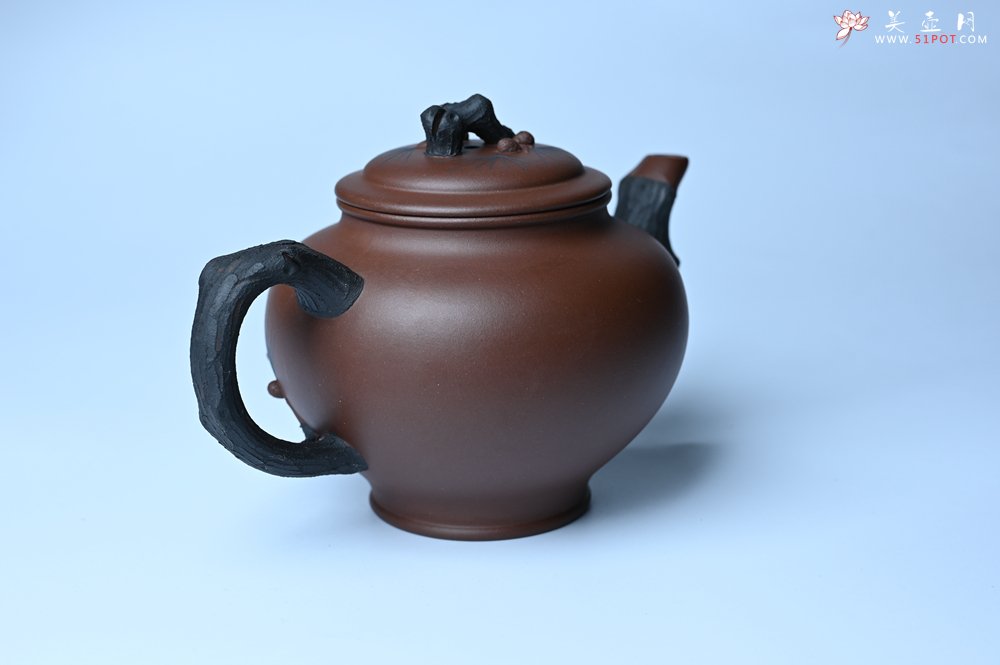 紫砂壶图片：美壶特惠 精致报春系列之松报春壶 - 宜兴紫砂壶网