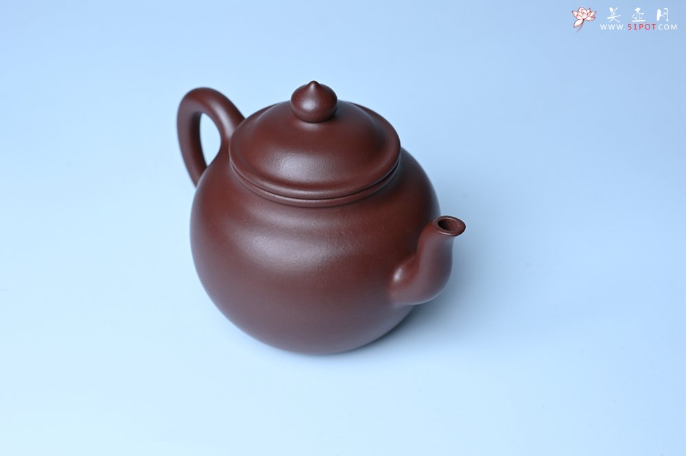 紫砂壶图片：油润黄龙山4号深井红皮龙 全手工高宫灯壶 东西灰常赞 - 宜兴紫砂壶网