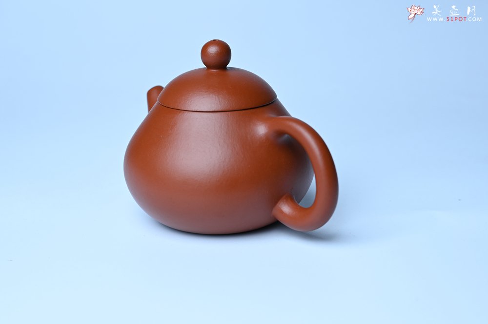 紫砂壶图片：美壶特惠定制最新实用力作 优质精致朱泥文旦壶 养后特润 - 宜兴紫砂壶网