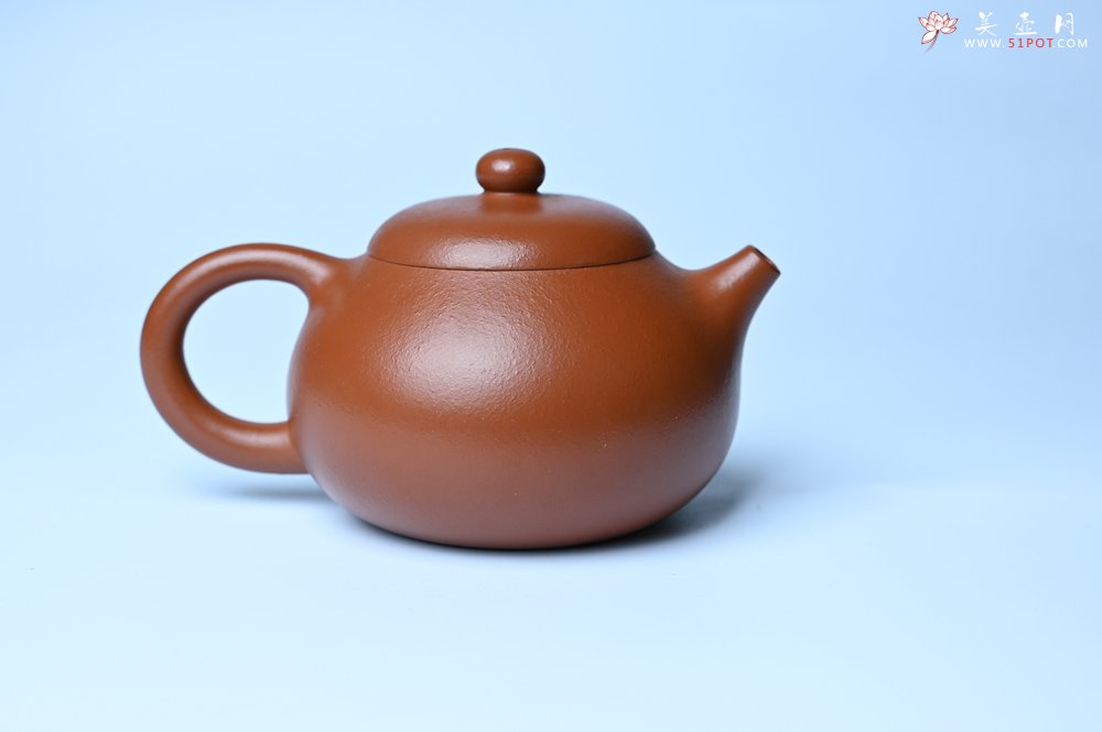 紫砂壶图片：潜力股周小培 油润黄龙山朱泥 全手工文旦壶 壶特好 期待与您结缘 - 宜兴紫砂壶网