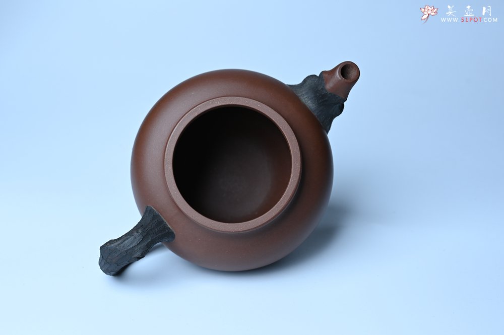 紫砂壶图片：美壶特惠 精致报春系列之松报春壶 - 宜兴紫砂壶网