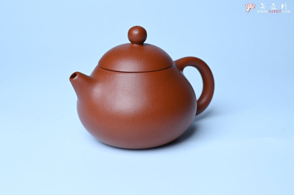 紫砂壶图片：美壶特惠定制最新实用力作 优质精致朱泥文旦壶 养后特润 - 宜兴紫砂壶网