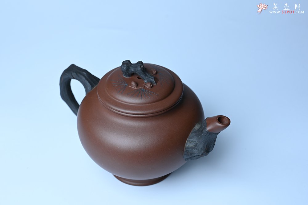 紫砂壶图片：美壶特惠 精致报春系列之松报春壶 - 宜兴紫砂壶网