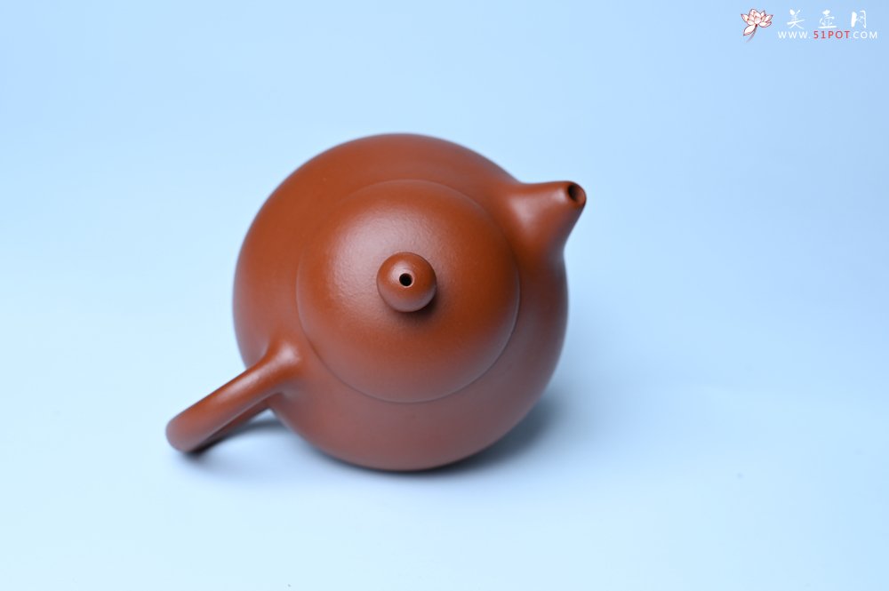 紫砂壶图片：美壶特惠定制最新实用力作 优质精致朱泥文旦壶 养后特润 - 宜兴紫砂壶网