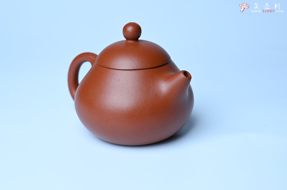 紫砂壶图片：美壶特惠定制最新实用力作 优质精致朱泥文旦壶 养后特润 - 宜兴紫砂壶网
