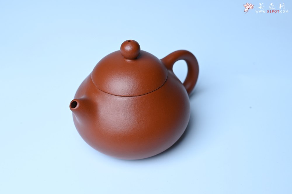 紫砂壶图片：美壶特惠定制最新实用力作 优质精致朱泥文旦壶 养后特润 - 宜兴紫砂壶网