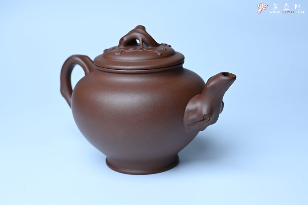 紫砂壶图片：美壶特惠 精致报春系列之梅花报春壶 - 宜兴紫砂壶网