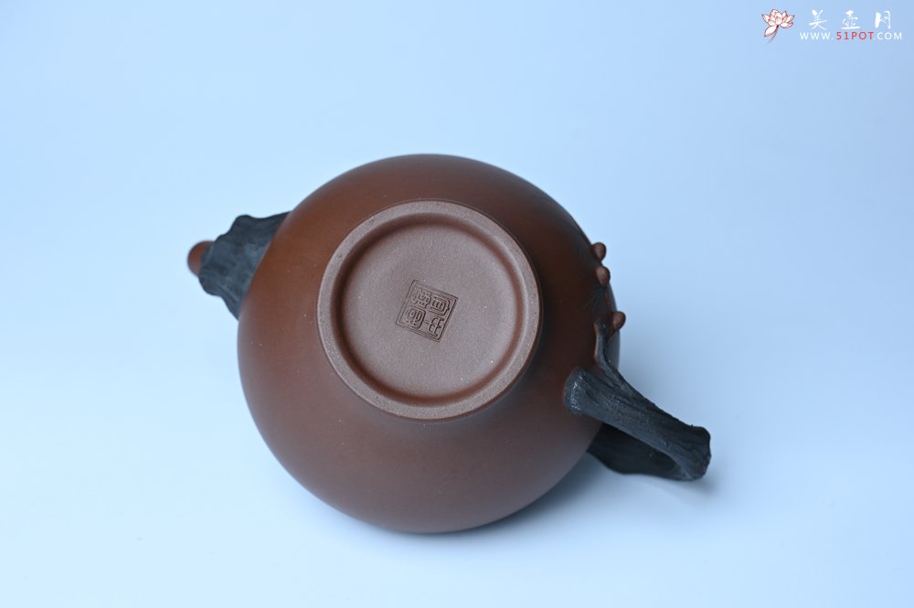 紫砂壶图片：美壶特惠 精致报春系列之松报春壶 - 宜兴紫砂壶网