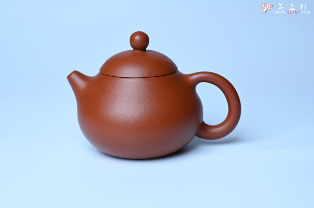 紫砂壶图片：美壶特惠定制最新实用力作 优质精致朱泥文旦壶 养后特润 - 宜兴紫砂壶网
