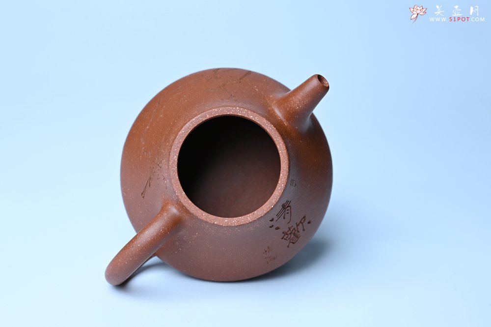 紫砂壶图片：美壶特惠 潜力股王老师 全手工拍打成型茄瓢壶 装饰枯枝鸟 特文气 - 宜兴紫砂壶网