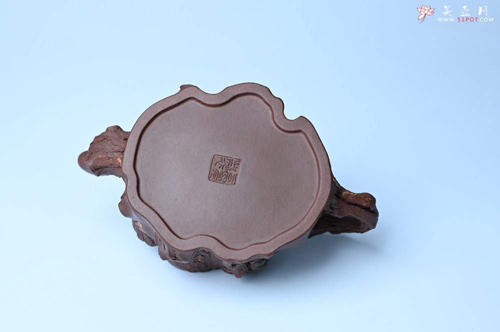 紫砂壶图片：实力派国工奚亮 全手工双色松桩壶 此壶灵动刻画描绘松桩之形 - 宜兴紫砂壶网