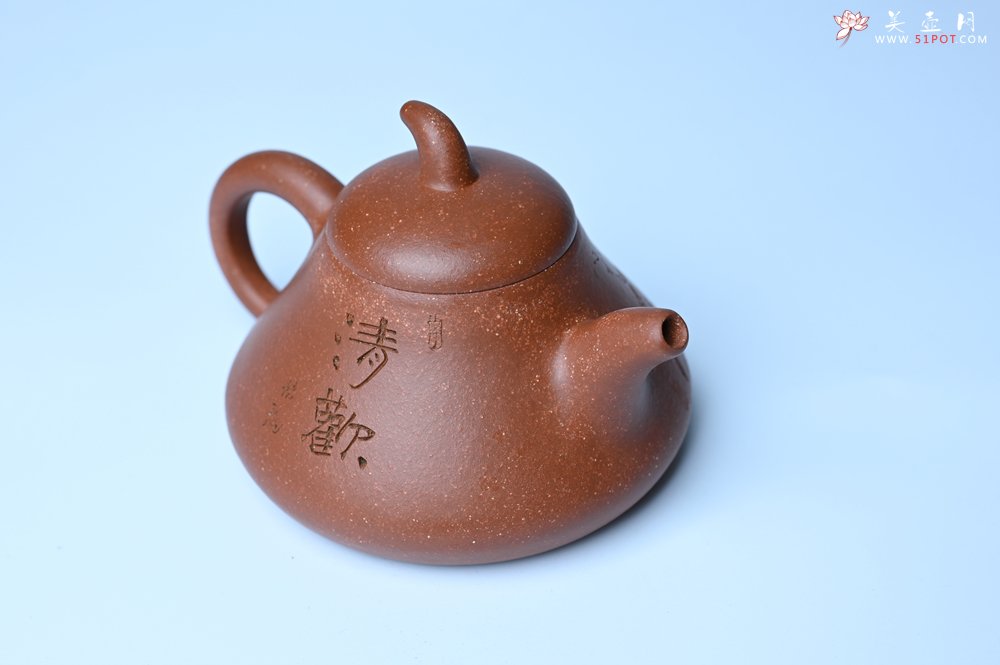 紫砂壶图片：美壶特惠 潜力股王老师 全手工拍打成型茄瓢壶 装饰枯枝鸟 特文气 - 宜兴紫砂壶网