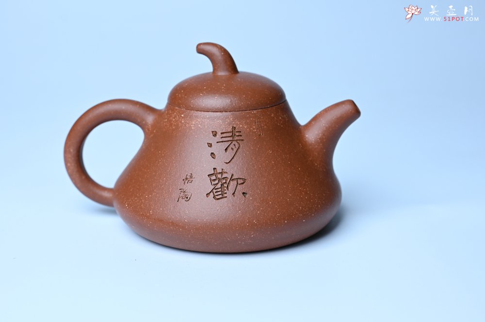 紫砂壶图片：美壶特惠 潜力股王老师 全手工拍打成型茄瓢壶 装饰枯枝鸟 特文气 - 宜兴紫砂壶网