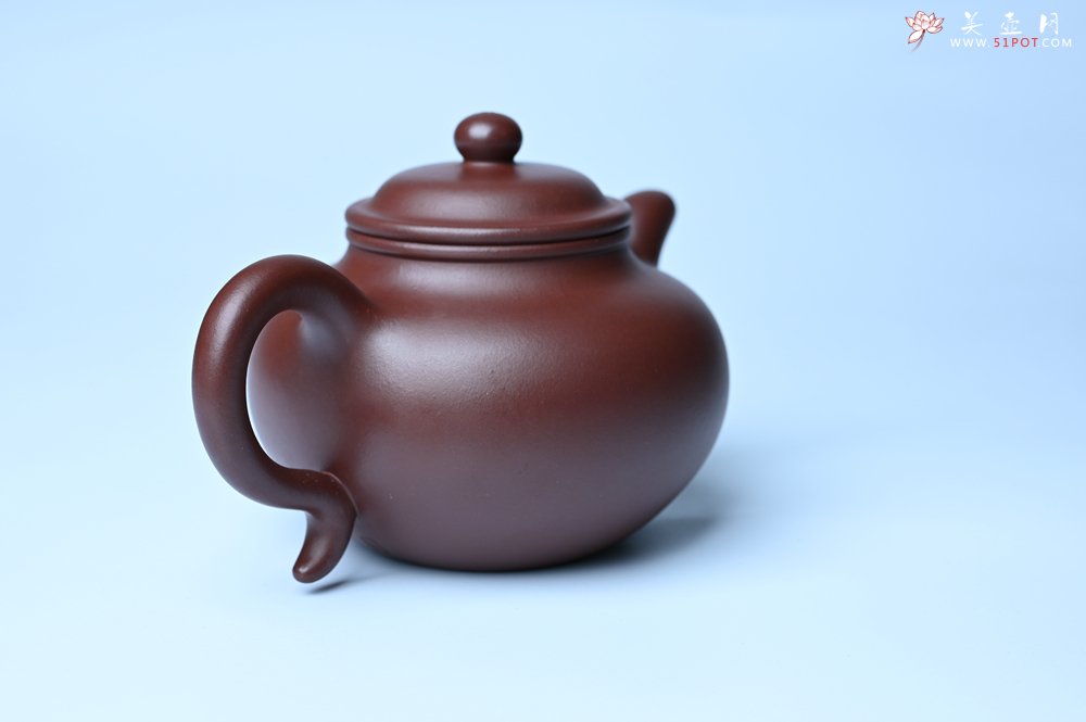 紫砂壶图片：潜力股周小培老师 4号井深井红皮龙 超精致全手工莲子茶壶 - 宜兴紫砂壶网