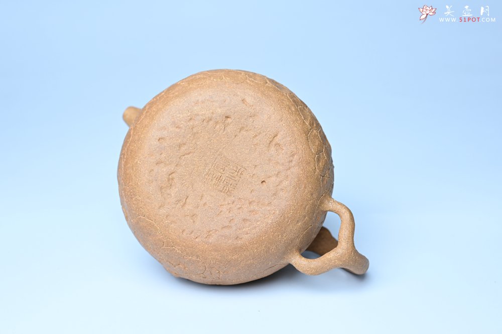 紫砂壶图片：潜力股赵老师实力演绎全手工老黄段泥灵芝游龙供春壶 游龙传福 不失为一把好壶 - 宜兴紫砂壶网