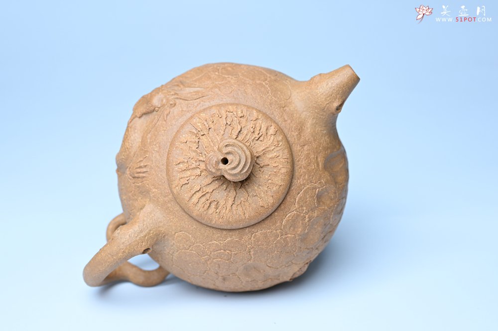 紫砂壶图片：潜力股赵老师实力演绎全手工老黄段泥灵芝游龙供春壶 游龙传福 不失为一把好壶 - 宜兴紫砂壶网