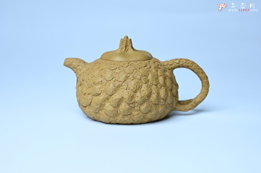 紫砂壶图片：美壶特惠 全手工黄段供春 肌理有老树瘿的感觉 灰常赞 - 宜兴紫砂壶网