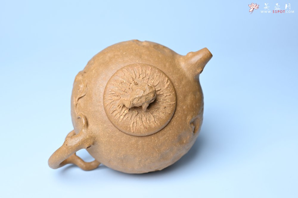 紫砂壶图片：潜力股赵老师实力演绎全手工老黄段泥金蟾供春壶 金蟾灵动 不失为一把好壶 - 宜兴紫砂壶网